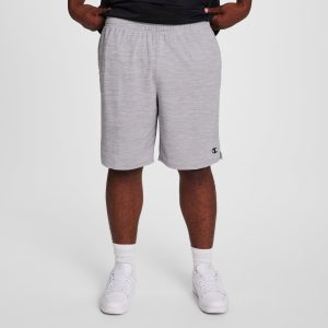Core Training Short. 10 - Big & Tall